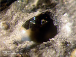 Mineralien Mansfelder Revier Kupferkammerhütte Hettstedt Magnetit