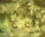 Mineralien Mansfelder Revier Kupferkammerhütte Hettstedt Aragonit