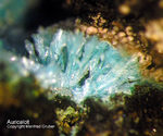 Mineralien Mansfelder Revier Kupferkammerhütte Hettstedt Aurichalcit