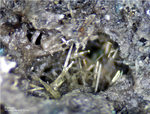 Mineralien Mansfelder Revier Kupferkammerhütte Hettstedt Pyroxen