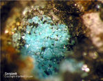 Mineralien Mansfelder Revier Kupferkammerhütte Hettstedt Serpierit