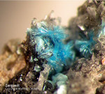 Mineralien Mansfelder Revier Kupferkammerhütte Hettstedt Serpierit