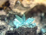 Mineralien Mansfelder Revier Kupferkammerhütte Hettstedt Serpierit