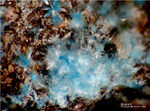 Mineralien Mansfelder Revier Kupferkammerhütte Hettstedt Serpierit