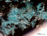 Mineralien Mansfelder Revier Kupferkammerhütte Hettstedt Serpierit