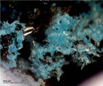Mineralien Mansfelder Revier Kupferkammerhütte Hettstedt Serpierit