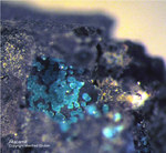 Mineralien Mansfelder Revier Sangerhausen Atakamit