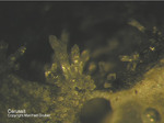 Mineralien Mansfelder Revier Sangerhausen Cerussit