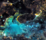 Mineralien Mansfelder Revier Sangerhausen Chrysokoll