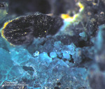 Mineralien Mansfelder Revier Sangerhausen Chrysokoll