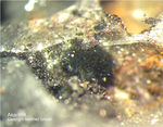 Mineralien Mansfelder Revier Sangerhausen Akanthit
