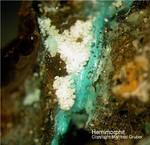 Mineralien Mansfelder Revier Sangerhausen Hemimorphit