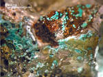 Mineralien Mansfelder Revier Sangerhausen Malachit