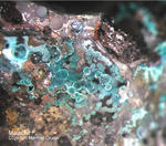 Mineralien Mansfelder Revier Sangerhausen Malachit