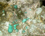 Mineralien Mansfelder Revier Sangerhausen Malachit