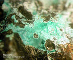 Mineralien Mansfelder Revier Sangerhausen Malachit