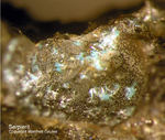 Mineralien Mansfelder Revier Sangerhausen Serpierit