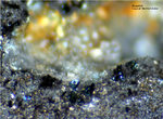 Mineralien Mansfelder Revier Kupferkammerhütte Hettstedt Akanthit