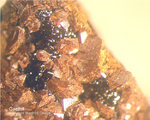 Griechenland Esperenza Mineralien Goethit
