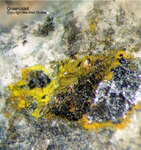 Griechenland Esperenza Mineralien Greenockit