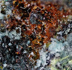 Harz Mineralien Silberhütte Altenau Chalkanthit