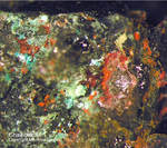 Harz Mineralien Silberhütte Altenau Chalkotrichit