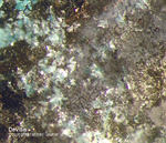 Harz Mineralien Silberhütte Altenau Devillin