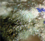 SHarz Mineralien Silberhütte Altenau Serpieriterpierit