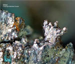 Harz Mineralien Silberhütte Altenau Silber