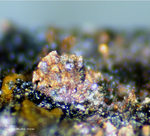 Harz Mineralien Silberhütte Altenau Kupfer