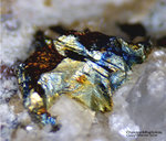 Harz Mineralien Oberschulenberg Chalkopyrit Kupferkies