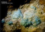 Harz Mineralien Oberschulenberg Glücksrad Caledonit