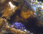 Harz Mineralien Oberschulenberg Glücksrad Azurit