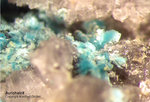 Harz Mineralien Oberschulenberg Glücksrad Aurichalcit