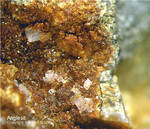 Harz Mineralien Oberschulenberg Glücksrad  Anglesit