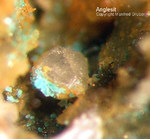 Harz Mineralien Oberschulenberg Glücksrad  Anglesit