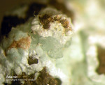 Harz Mineralien Oberschulenberg Glücksrad  Adamin