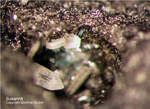 Harz Mineralien Schlackental Susannit