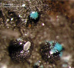 Harz Mineralien Schlackental Susannit