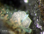Harz Mineralien Schlackental Susannit