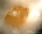 Mineralien Eifel Arensberg Calcit