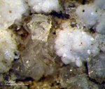 Eifel Mineralien Arensberg Chabasit