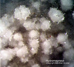 Eifel Mineralien Arensberg Hydromagnesit