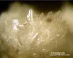 Eifel Mineralien Arensberg Hydromagnesit