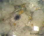 Eifel Mineralien Arensberg Montmorillonit