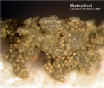 Eifel Mineralien Arensberg Montmorillonit