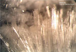 Eifel Mineralien Arensberg Natrolith
