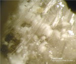 Eifel Mineralien Arensberg Thaumasit