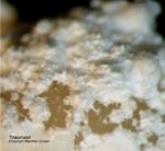 Eifel Mineralien Arensberg Thaumasit