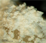 Eifel Mineralien Arensberg Thaumasit